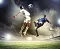 50557_Fotolia-52998100-small-WEB.jpg